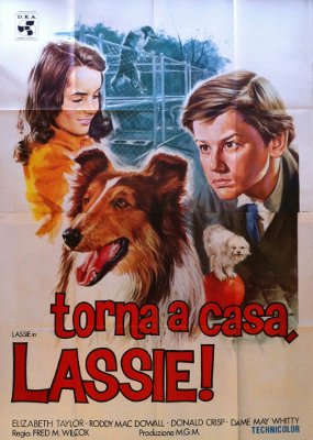 Torna a casa, Lassie!