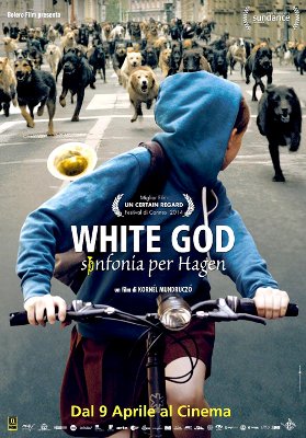 White God - Sinfonia per Hagen