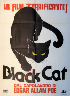 Black Cat