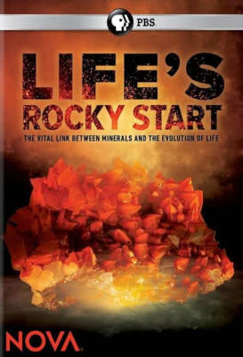 Life's Rocky Start