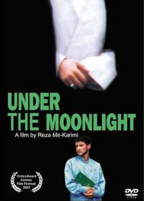 Under the Moonlight