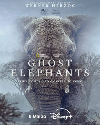 Ghost Elephants